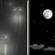 Monday Night: Chance Light Rain then Mostly Clear